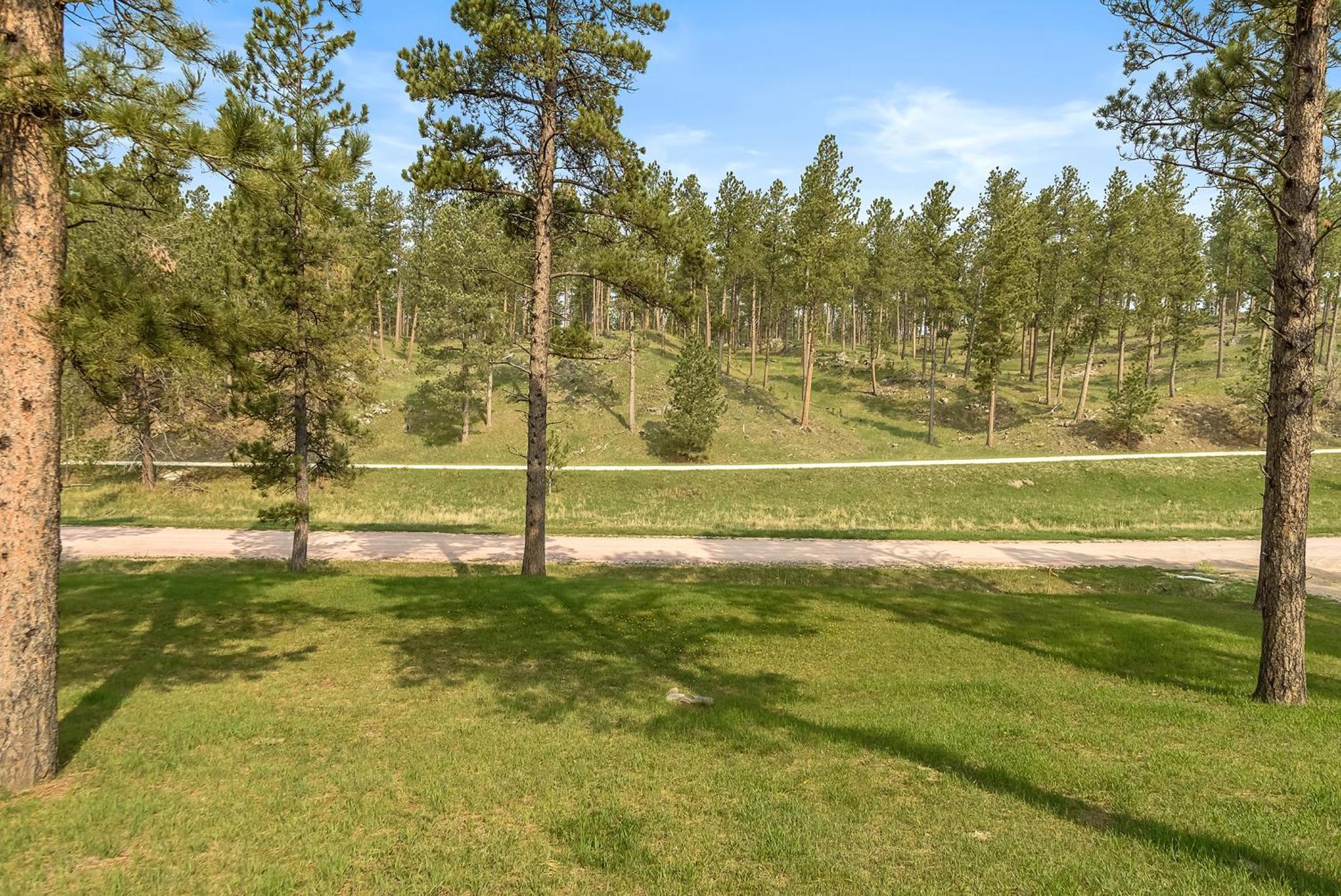 Elk Ridge Fire Place Custer Exteriér fotografie
